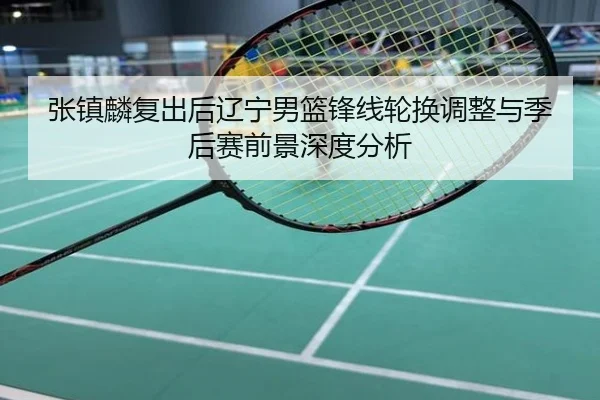 张镇麟复出后辽宁男篮锋线轮换调整与季后赛前景深度分析